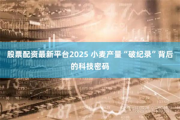 股票配资最新平台2025 小麦产量“破纪录”背后的科技密码